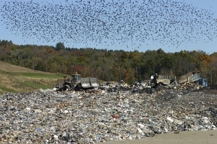 Commissioners approve resolution allowing for free disposal of flood